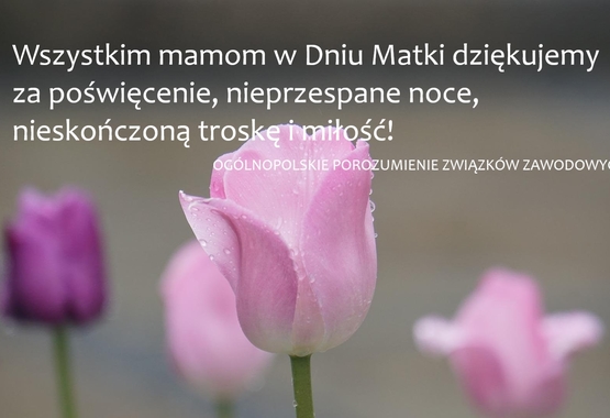 Z okazji Dnia Matki dziękujemy wszystkim mamom za to, że są i dają miłość!