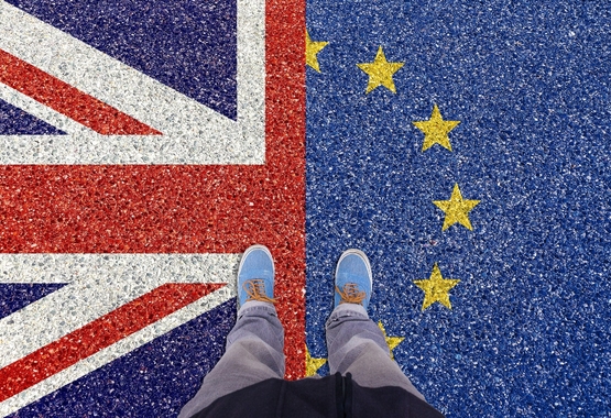 EKZZ w sprawie umowy UE-Wielka Brytania