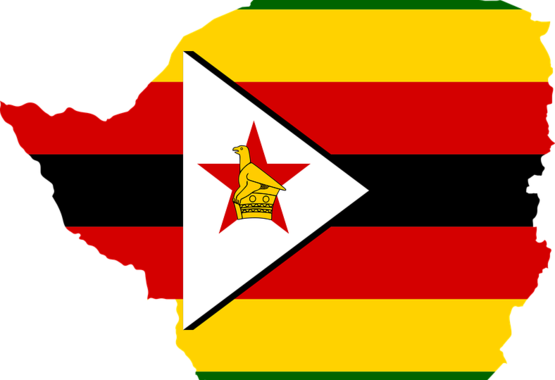 OPZZ wzywa do uwolnienia Sekretarza Generalnego Kongresu Związków Zawodowych Zimbabwe
