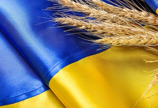 Dzień Niepodległości Ukrainy 2022