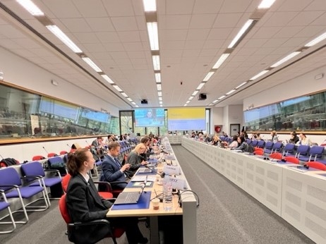 Przegląd EMCO w sprawie Zaleceń Rady UE