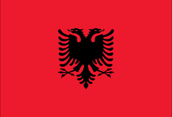 Pracownicy telefonicznej obsługi klienta w Albanii organizują się