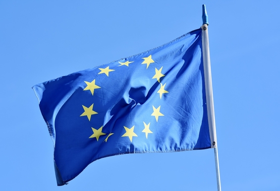 Europejskie związki wzywają do przestrzegania zasady praworządności w przyszłym budżecie UE